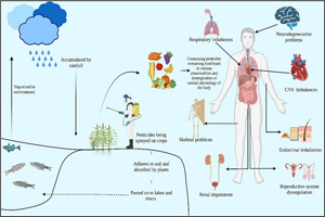 How pesticides used in aquaculture affect human health